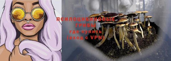 MDMA Бородино