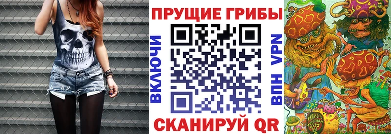 Галлюциногенные грибы Magic Shrooms  Купить закладки  Острогожск 